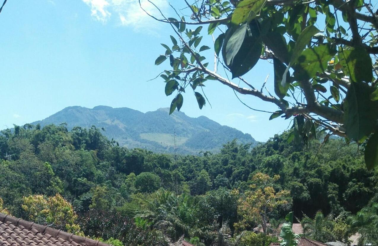 Green Valley Resort Bandungan Exterior photo